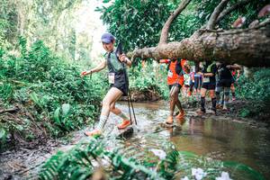 BIB: 
                            <button type="button" onclick="openModal(25517591)" class="btn btn-primary btn-sm float-right btn-popup" data-toggle="modal" data-target=".modal-high-quality">
                        <i class="fas fa-shopping-cart"></i> Add to Cart
                    </button>
                                            <button type="button" onclick="isThisMe(25517591, true)" class="btn btn-success btn-sm float-right btn-popup btn-isme hidden" data-toggle="tooltip" data-placement="bottom" title="นี่คือรูปของคุณใช่ไหม คลิกที่นี่เพื่อเอาเข้าอัลบั้ม">
                        <i class="fas fa-plus"></i> Add to album
                    </button>
                    <button type="button" onclick="isThisMe(25517591, false)" class="btn btn-warning btn-sm float-right btn-popup btn-isnotme hidden">
                        <i class="fas fa-ban"></i> Remove from album
                    </button>